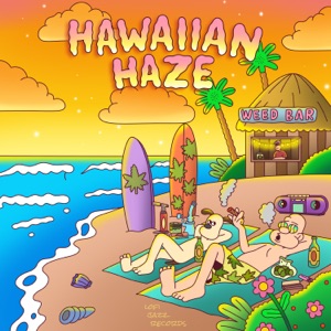 Hawaiian Haze - Single