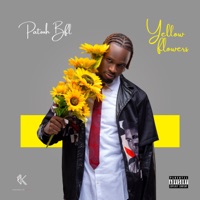 Yellow flowers - EP - Patooh BFL