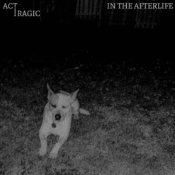 IN THE AFTERLIFE cover art