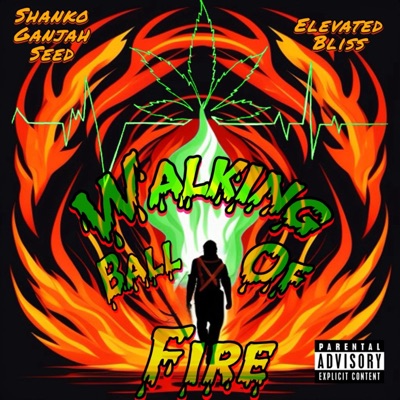 Walking Ball of Fire (feat. Elevated Bliss) - Single