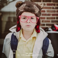 The Vibes - Single - The Lion Heart Experience