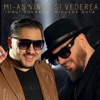 Mi-as vinde si vederea (feat. Nicusor Guta) - Single