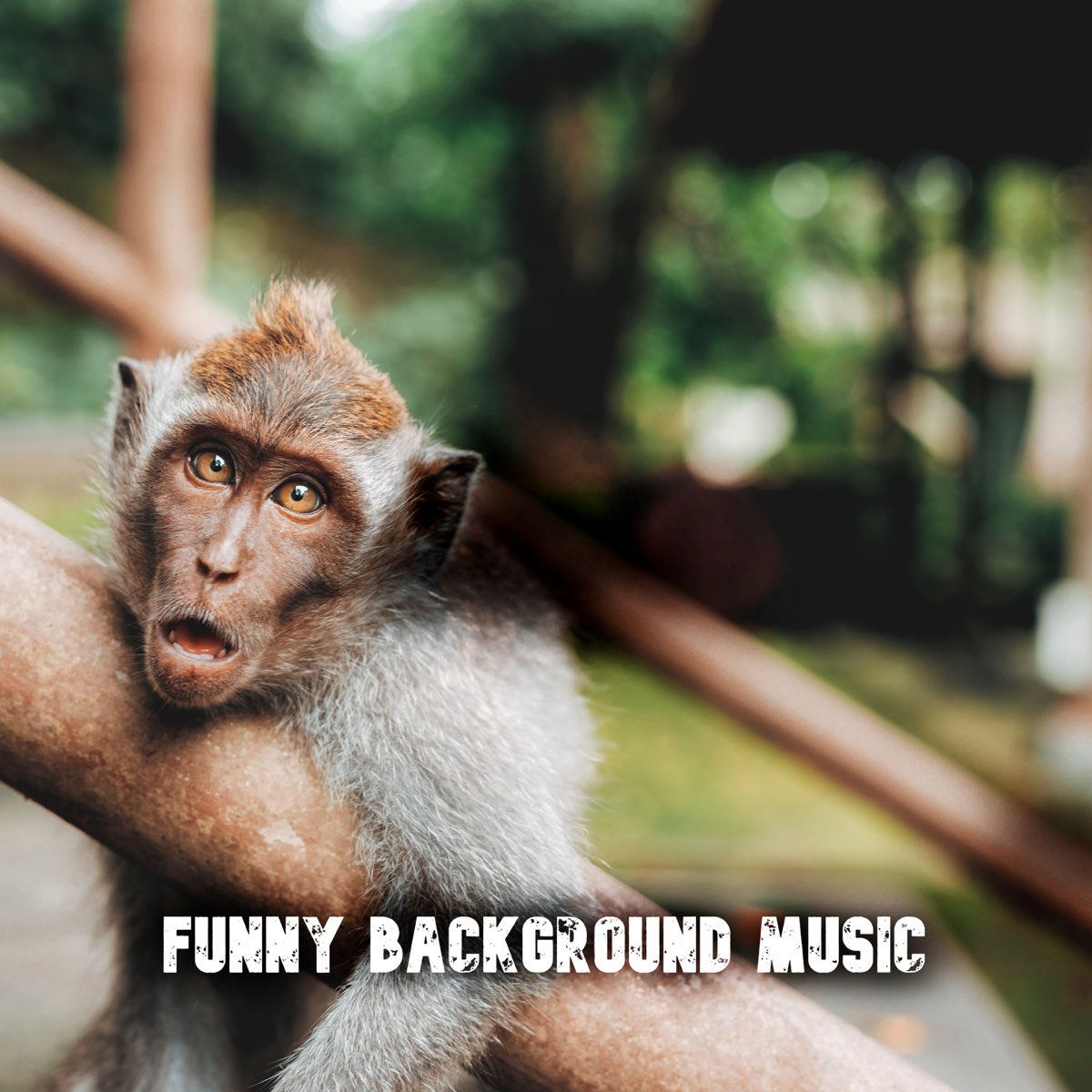 Funny background discount music for videos