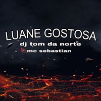 Luane Gostosa - Single - DJ TOM DA NORTE & Mc Sebastian