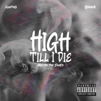 High Till I Die (feat. Foe DeeOz) - Single - OriginalGitxsans