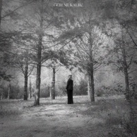 Geri Ne Kalır? - Single - Ilke