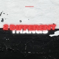 2 Different Thangs - Single - Hoodbaby CJ