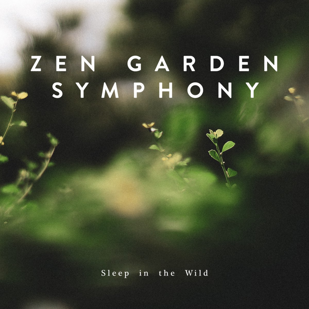 Sleep in the Wild - EP - Zen Garden Symphony의 앨범 - Apple Music Apple Music에서 감상하는 Zen Garden Symphony의 Sleep in the... 