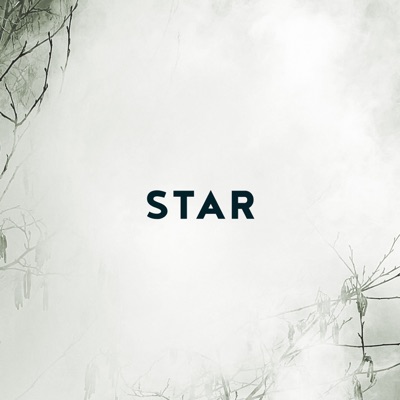 Star (feat. Matthias Hemstock) [Radio Edit] - Single