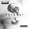 Silk (Midoca Remix) [feat. MOTHICA & Midoca] - Crywolf lyrics