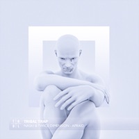 Afraid - Single - Naski & Twice Dimension