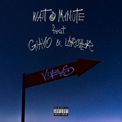 VIBES (feat. Giavo & Larcher) - Single