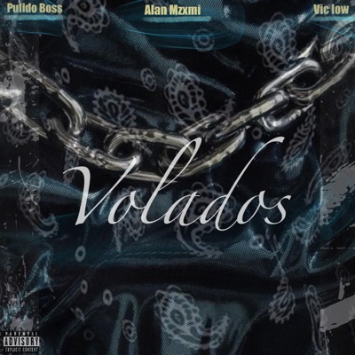 Volados (feat. Pulido boss & Vic Low) - Single
