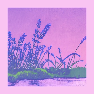 Lavender - EP