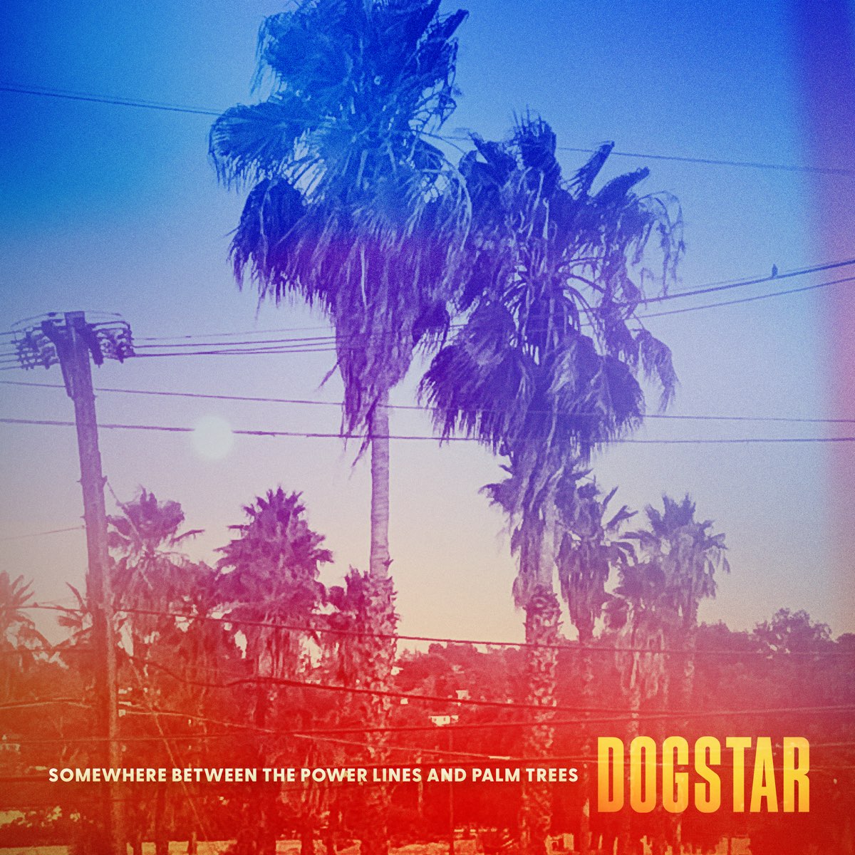 somewhere-between-the-power-lines-and-palm-trees-album-by-dogstar