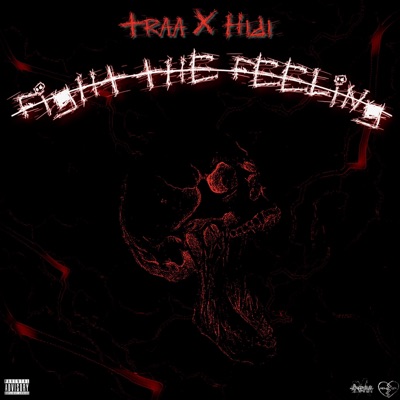 Fight the Feeling (feat. Hidi) - Single