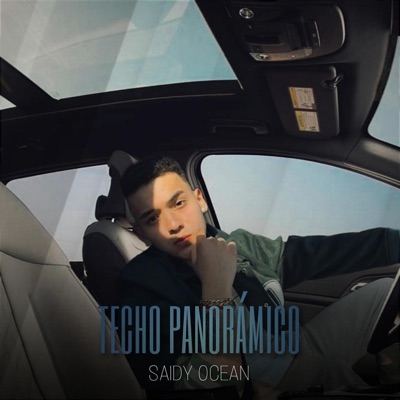 TECHO PANORÁMICO - Single