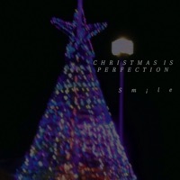 Christmas is Perfection - smle