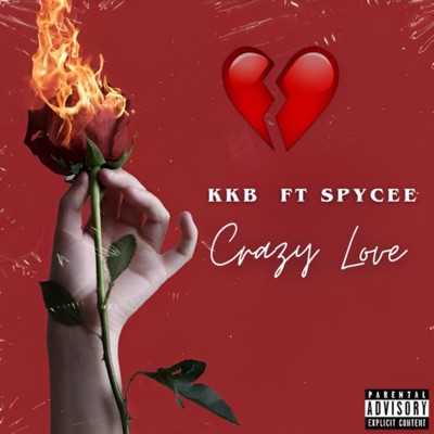 Crazy Love (feat. Spycee) - Single