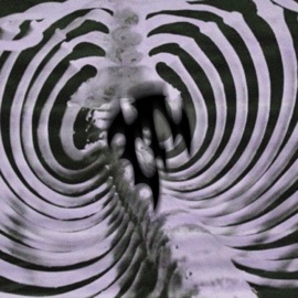 angel ribs ask eternity