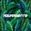 Aguardiente - Single