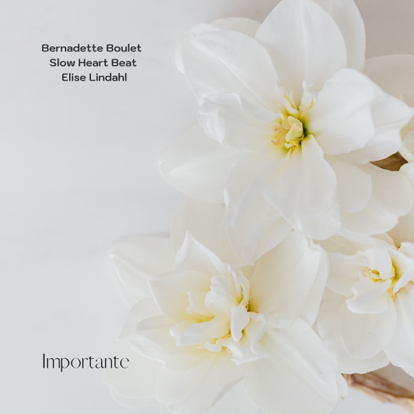 Importante - Single
