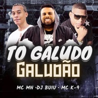 To Galudo Galudão - Single - MC K9, Dj Buiu & MC MN