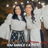 Hai Omule Ca Poti