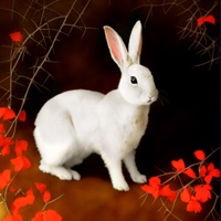 Терновый куст - Single - Norma Tale & Vulpes Vult!