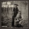 Brighter Shade - Lost Dog Street Band lyrics