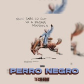 Perro Negro (Tech Edit) artwork