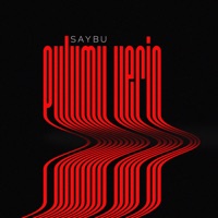 Pulumu Verin - Single - SAYBU