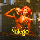 Nalego artwork