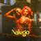 Nalego artwork