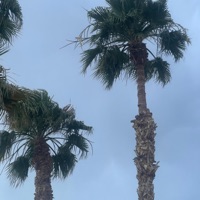 Sandbox (Idfc) (feat. Joma & Mndo!) - Single - Mase