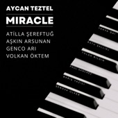 Miracle (feat. Atilla Sereftug, Genco Ari, Aşkın Arsunan & Volkan Öktem) artwork