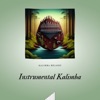 Instrumental Kalimba (Forest Noises for Better Meditation)