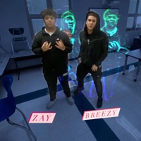 Dumb A$$ (feat. Breezy) - Single - Zay Barnett