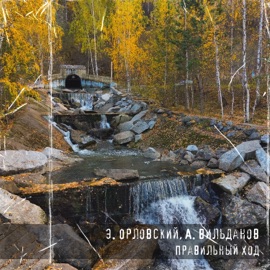 Правильный ход Э. Орловский & А. Вильданов