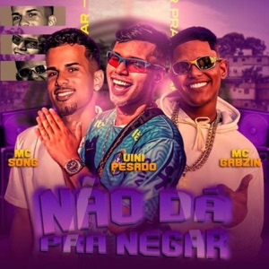 Não Dá pra Negar (feat. Vini Pesado & Mc Gabzin)