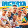 Ingrata (feat. MC Liro, MC Vinny & MC Joãozinho VT) - DJ GM, MC Lele JP & MC Marks