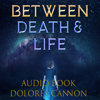 Between Death & Life: Conversations with a Spirit - Dolores Cannon