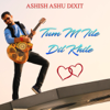 Tum Mile Dil Khile - Ashish Ashu Dixit