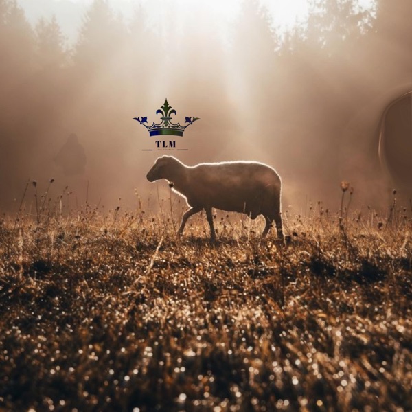 Parable One: Lost Sheep