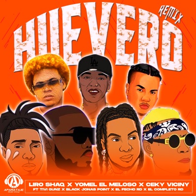 Huevero (feat. El Fecho RD, Black Jonas Point, Tivi Gunz & El Completo Rd) [Remix] - Single