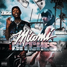 Miami bitches (feat. Chenaa banks) Florida City Zig