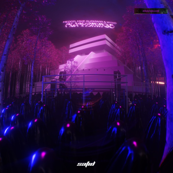 Awakenings - Single