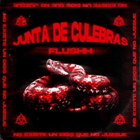 Junta de Culebras - Single - Flushh