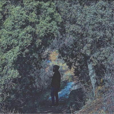 lost in evergreen