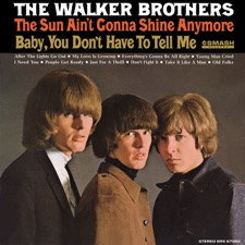 The Walker Brothers - The Sun Ain't Gonna Shine Anymore - Stereo Version